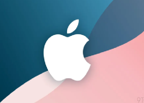 صورة المنتج